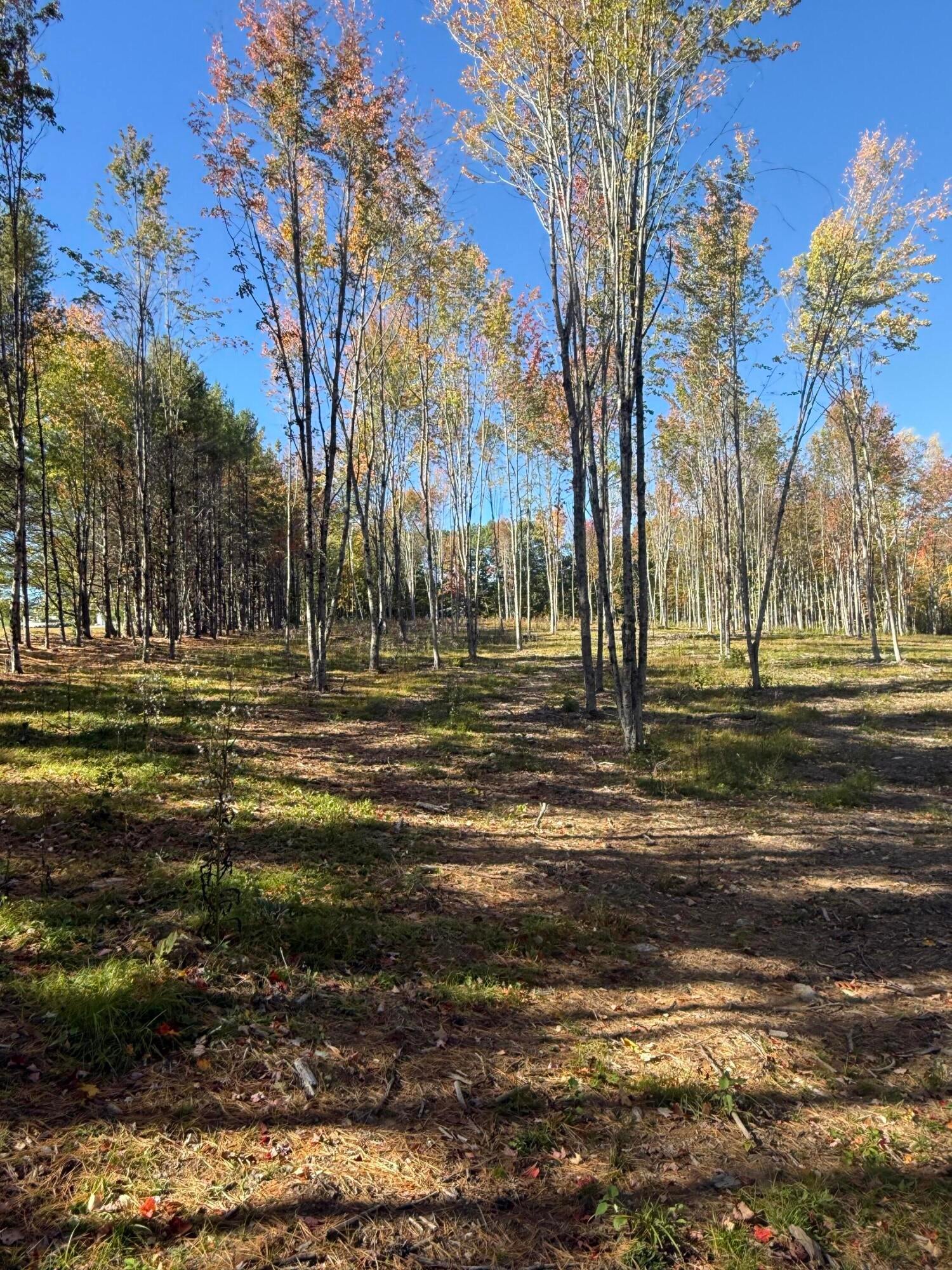 630 Youngs Ridge Road Lot #3