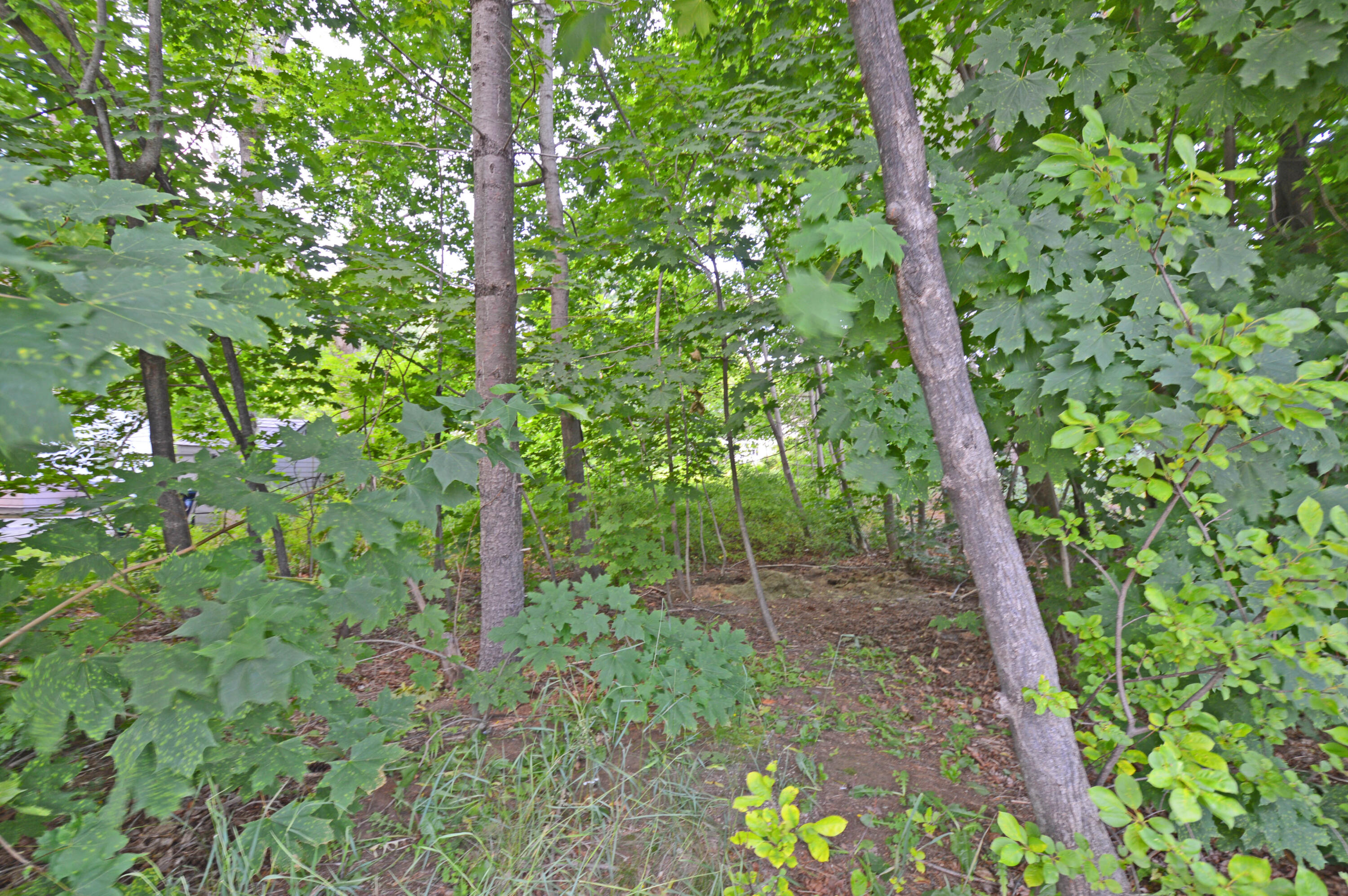 12 Lamothe Avenue