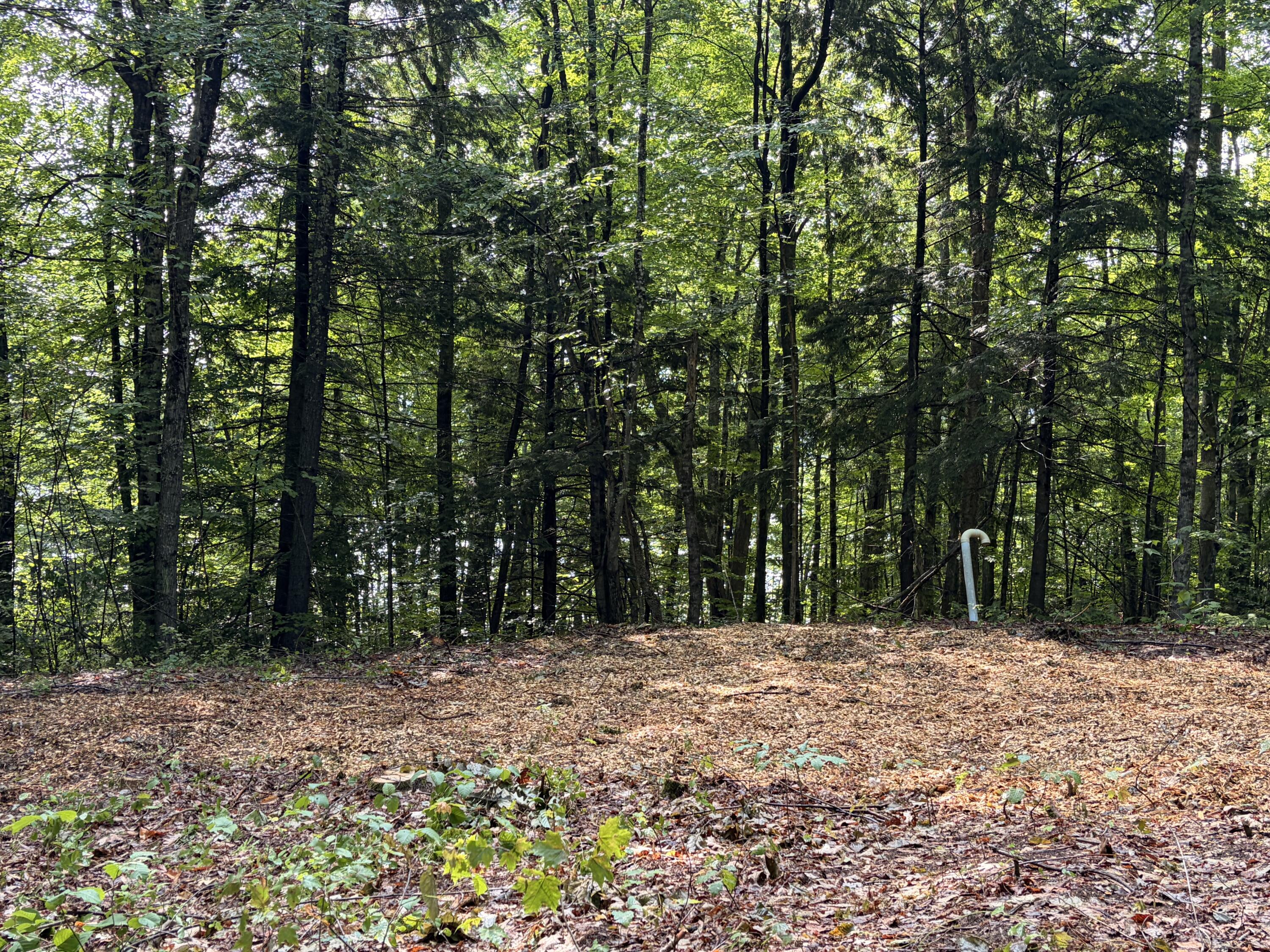 Lot 29 Pine Tree Road