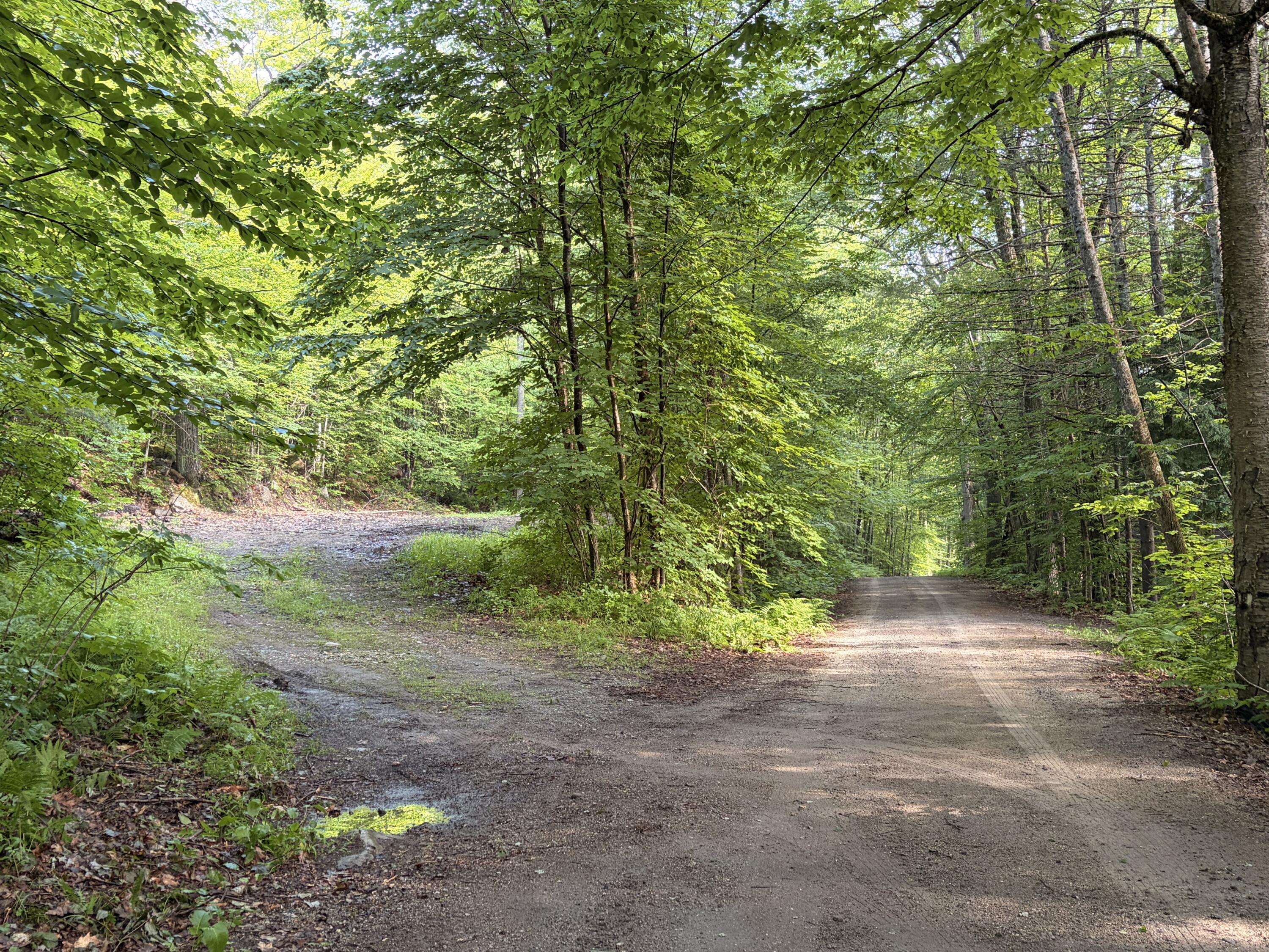 Lot 29 Pine Tree Road
