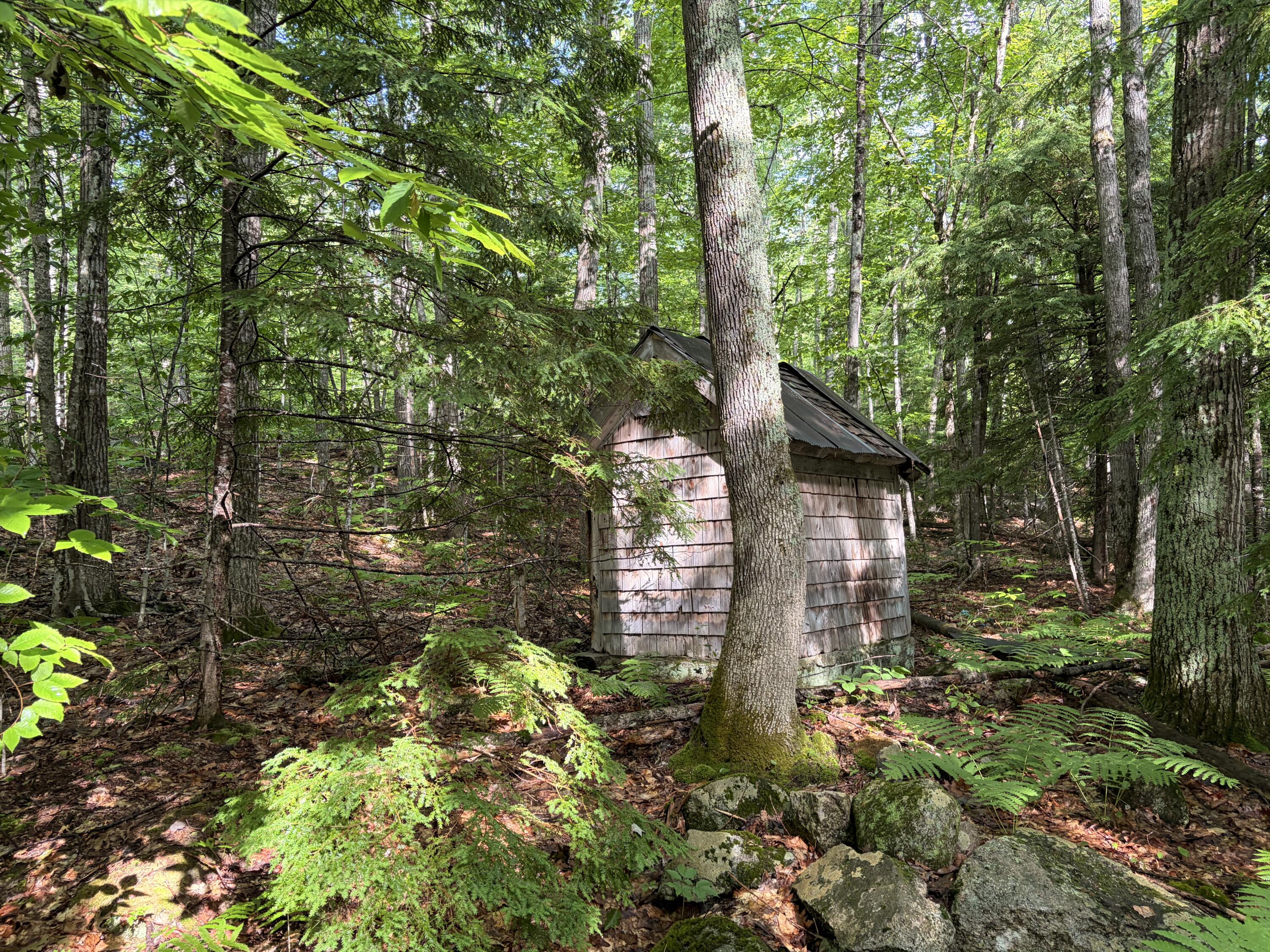 Lot 29 Pine Tree Road