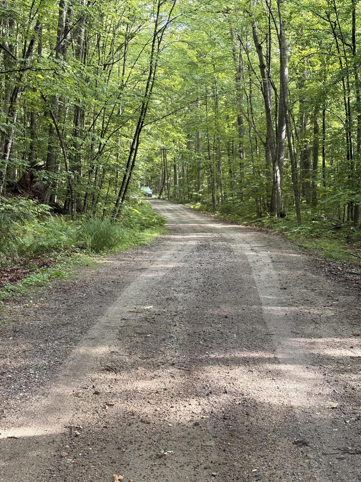 Lot 29 Pine Tree Road