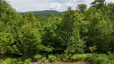 Photo of 4 Youngs Road, Canton, ME 04221 (MLS # 1669772)