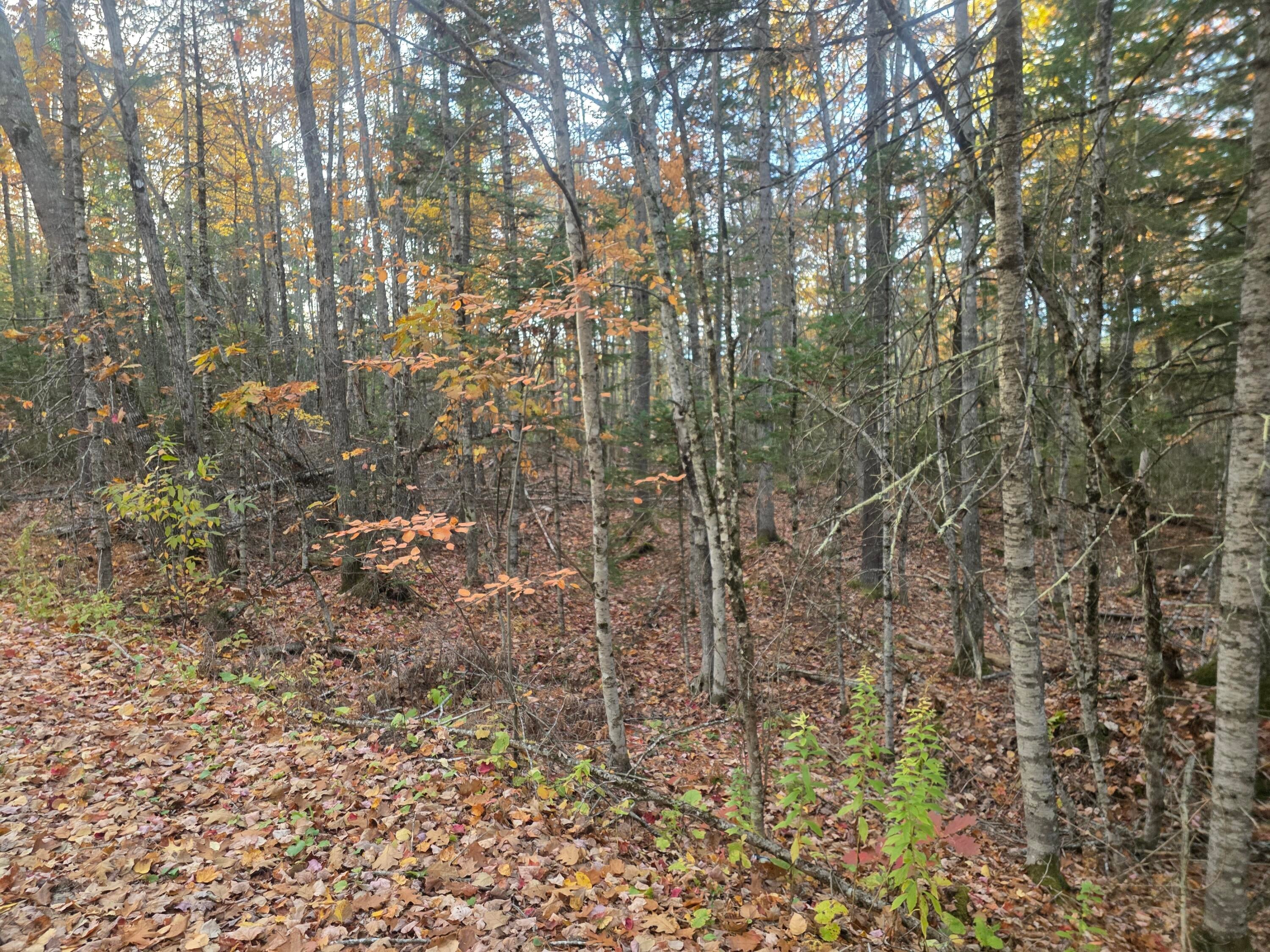 Lot 1 W Cider Mill Lane