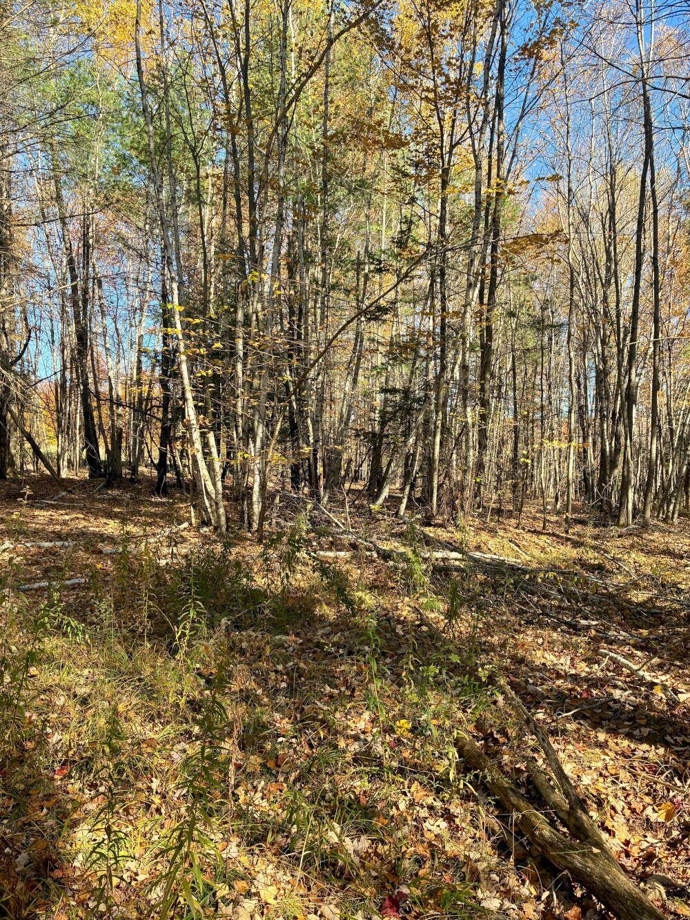 M 5-L30-1 Seamon Road