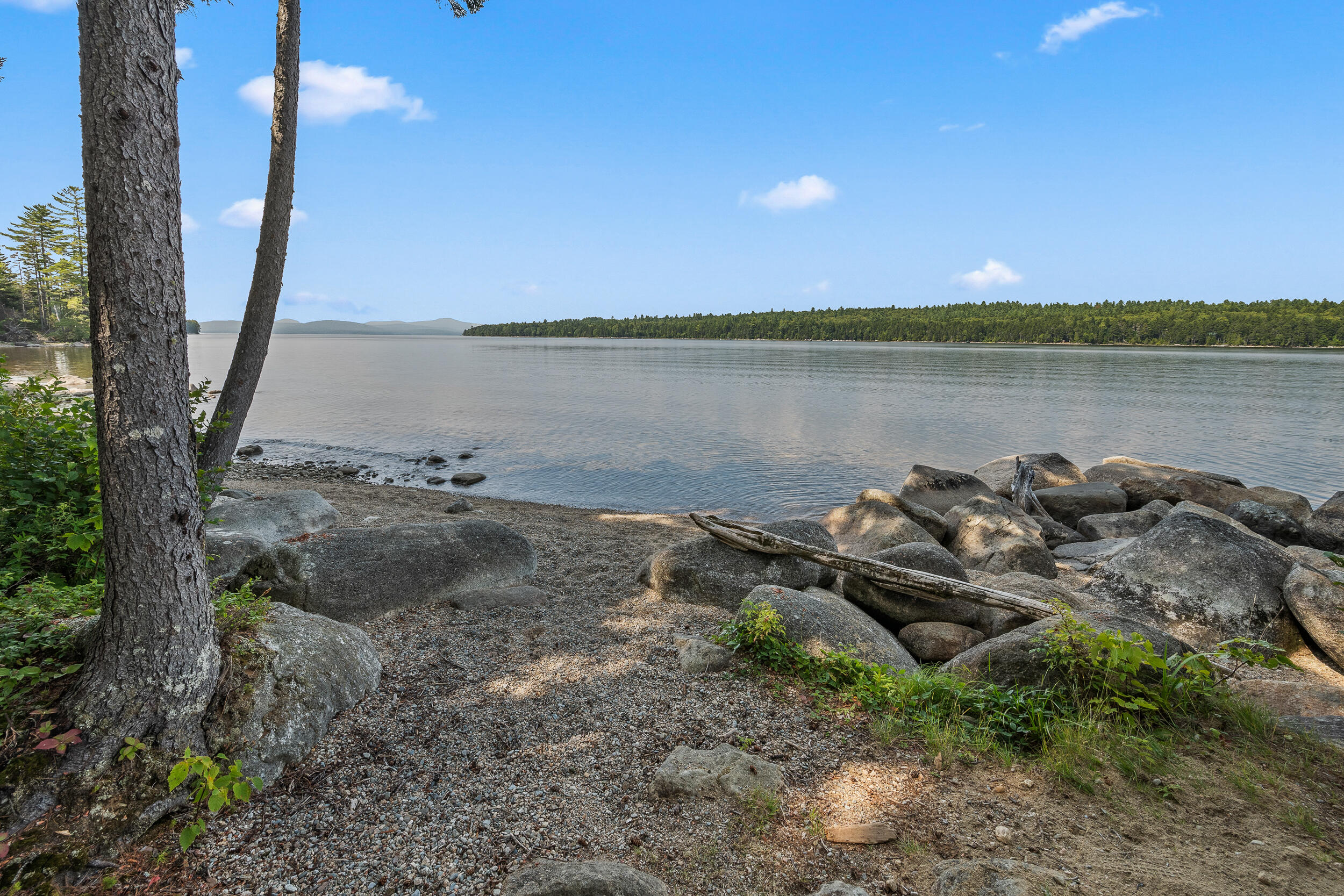 577 Shelton Trail