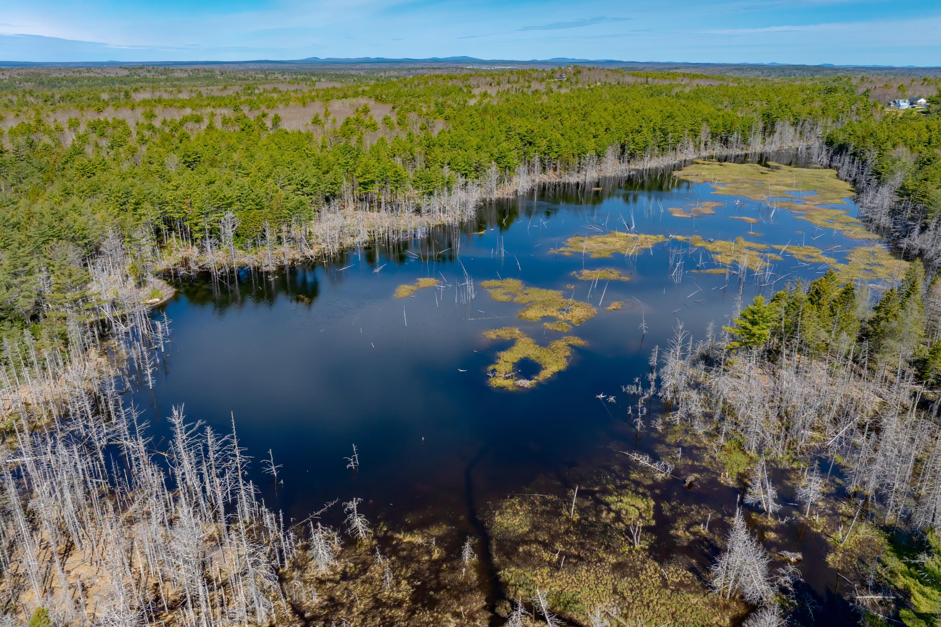 Lot 9 Bluff Road