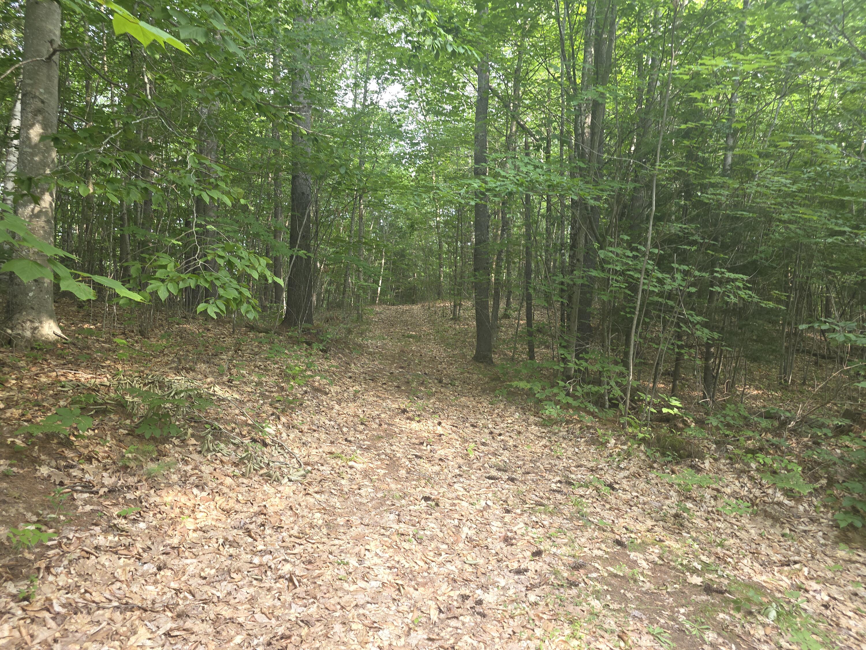 Lot 1-1A Madison Road