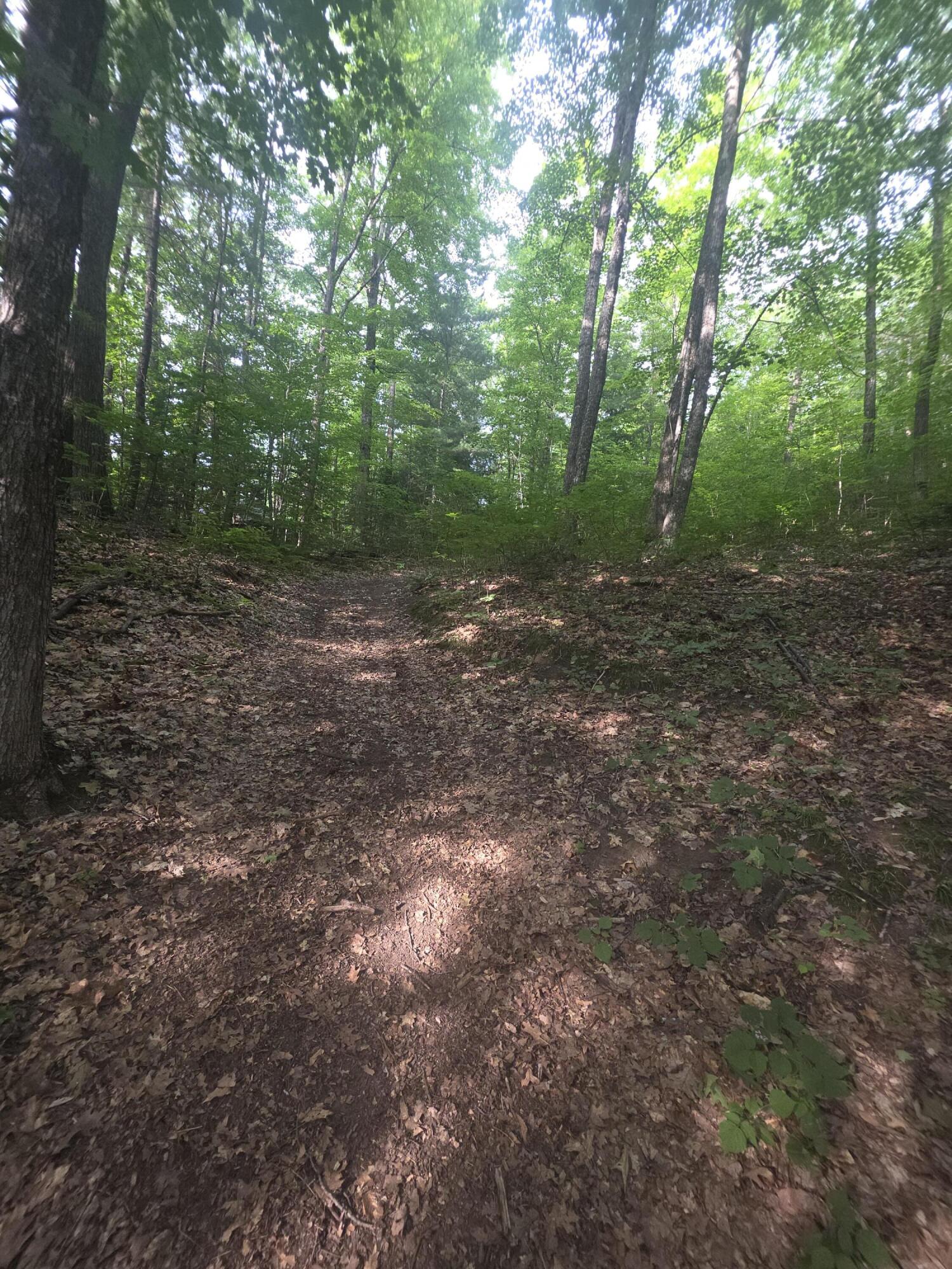 Lot 1-1A Madison Road