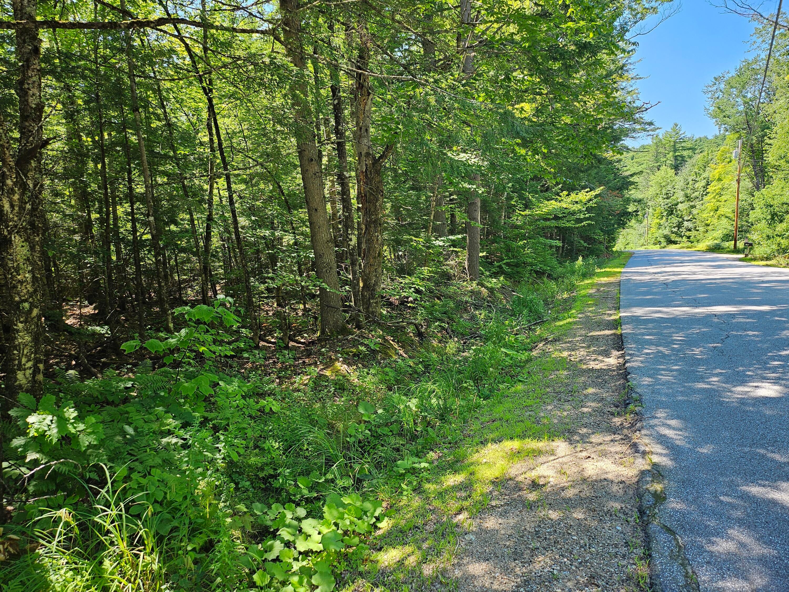 PO 21-B Hogfat Hill Road