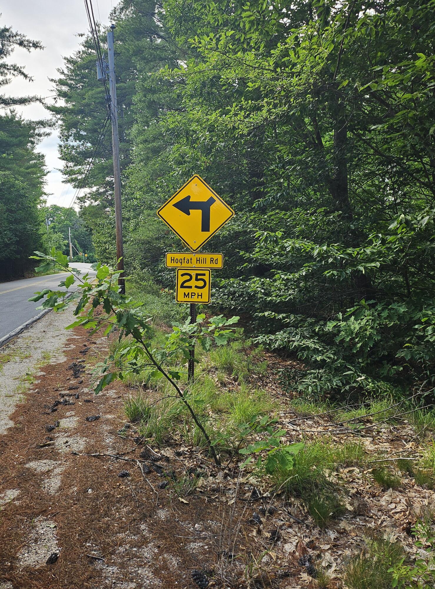 PO 21-B Hogfat Hill Road