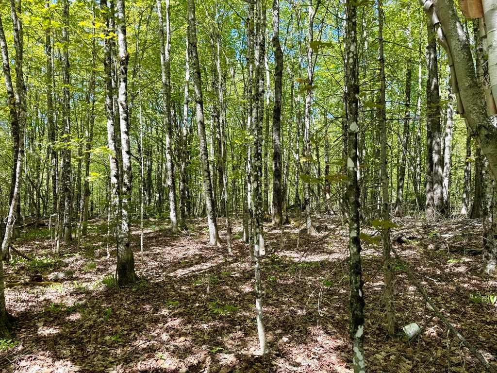 Photo of Lot34I Scammon Road, Greenville, ME 04441 (MLS # 1664027)