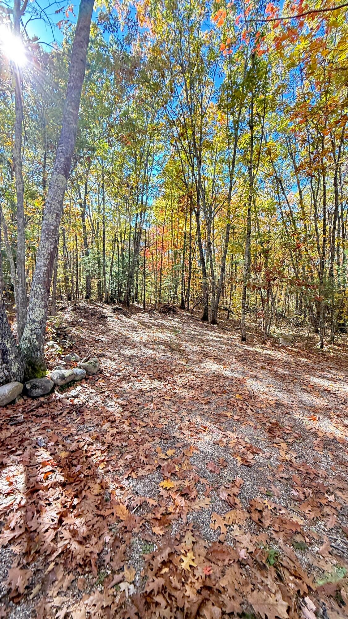 224-003 Garvin Road