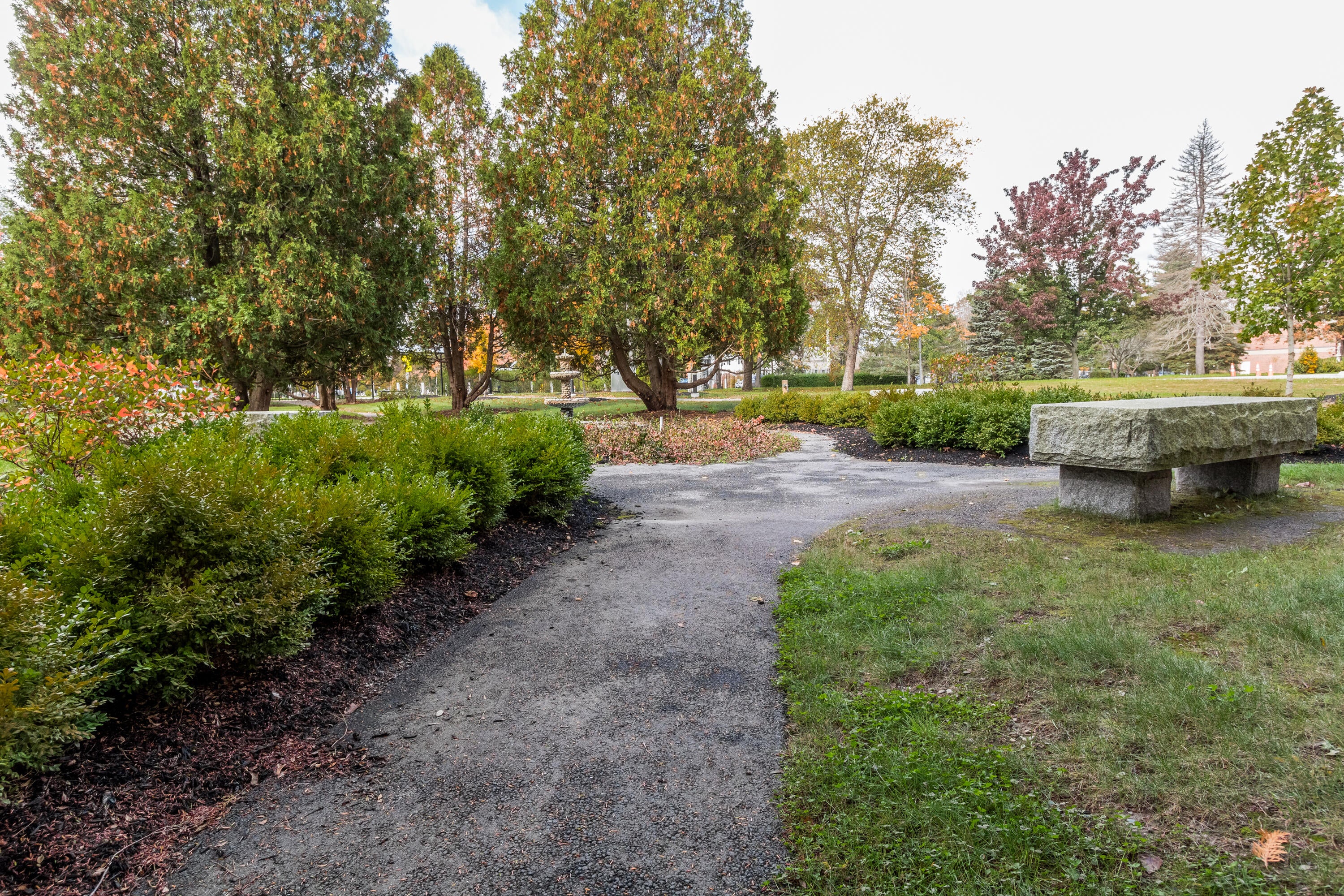 75 McAuley Way 501