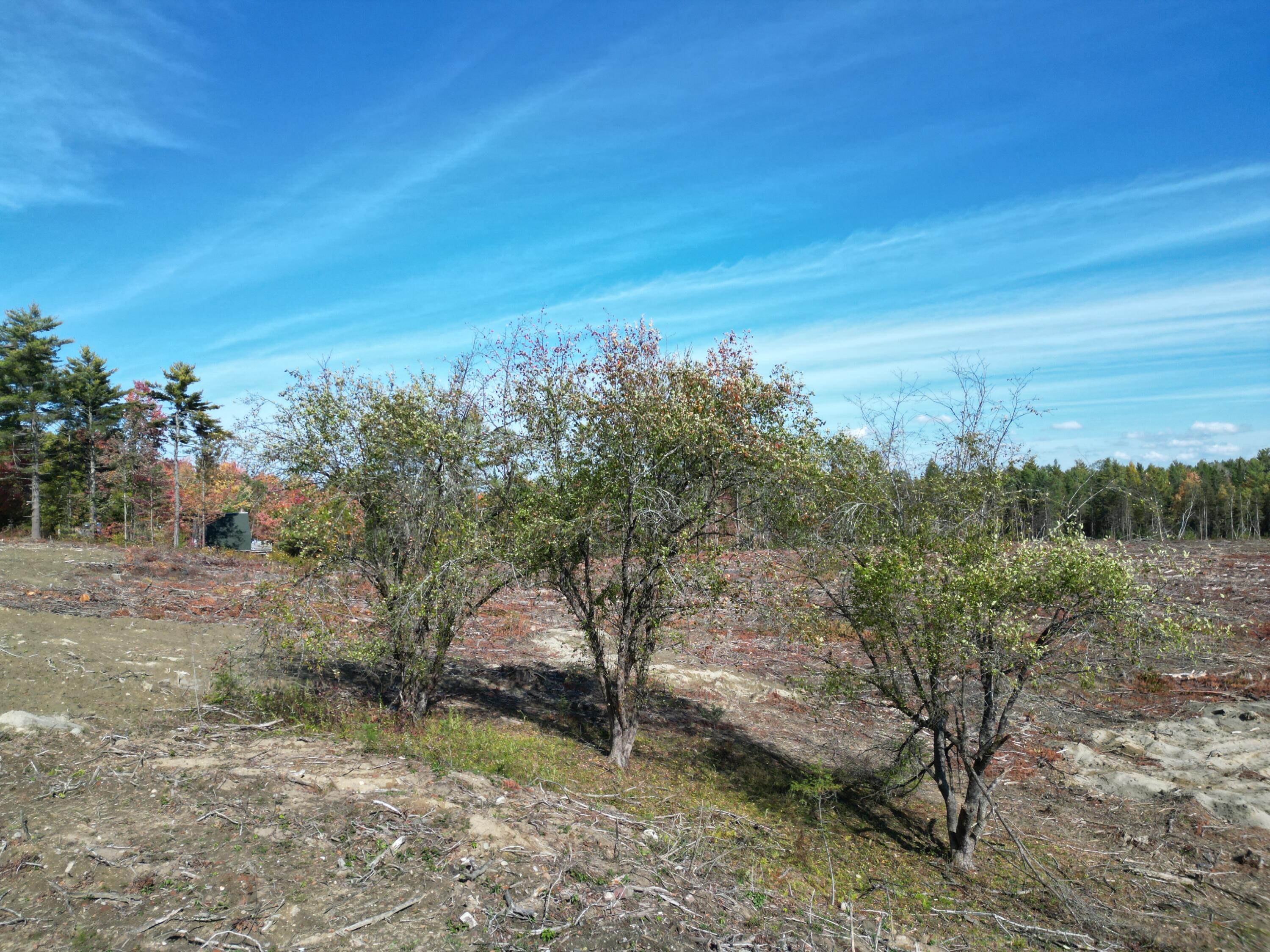 19 N Horseback Road