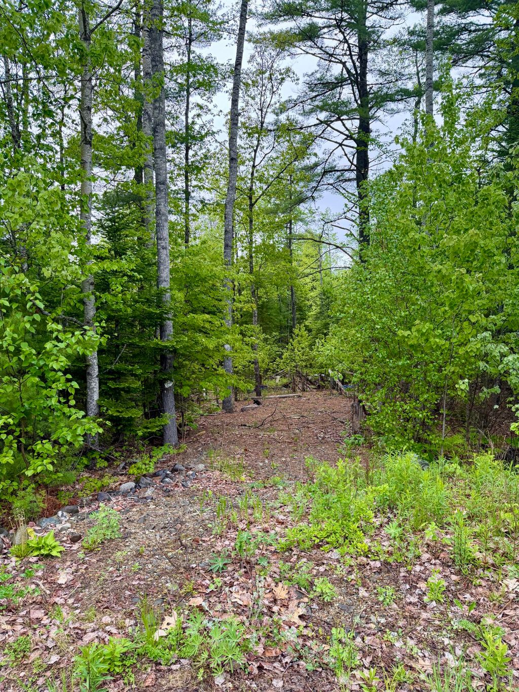 Photo of M19 L1 Airline, Clifton, ME 04428 (MLS # 1664639)