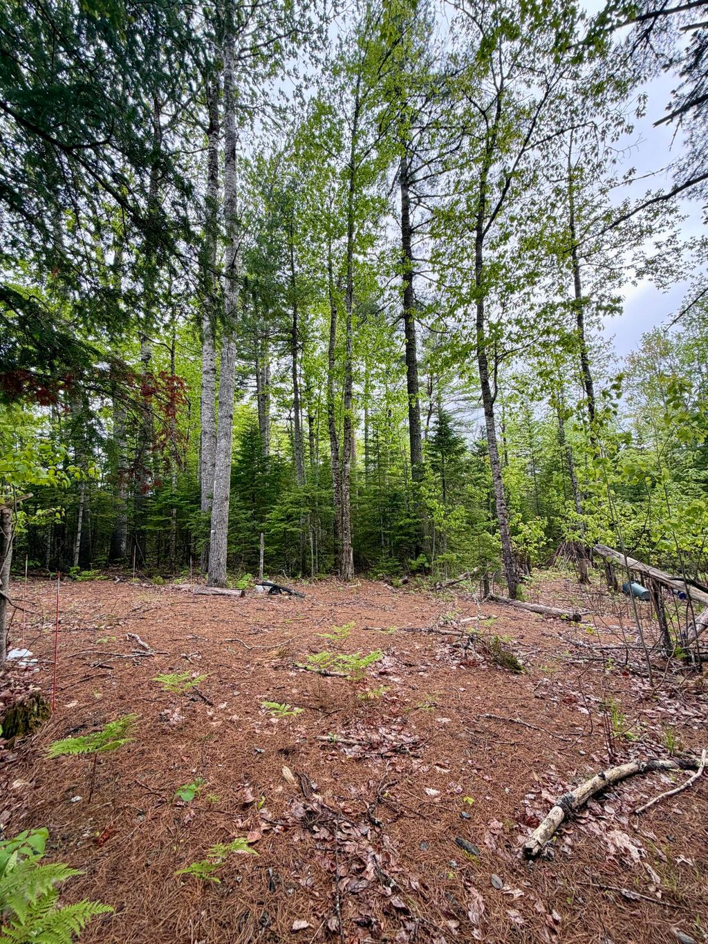 Photo of M19 L1 Airline, Clifton, ME 04428 (MLS # 1664639)