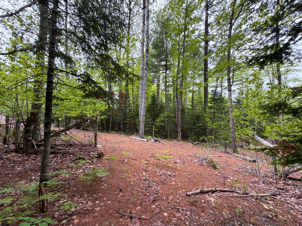 Photo of M19 L1 Airline, Clifton, ME 04428 (MLS # 1664639)