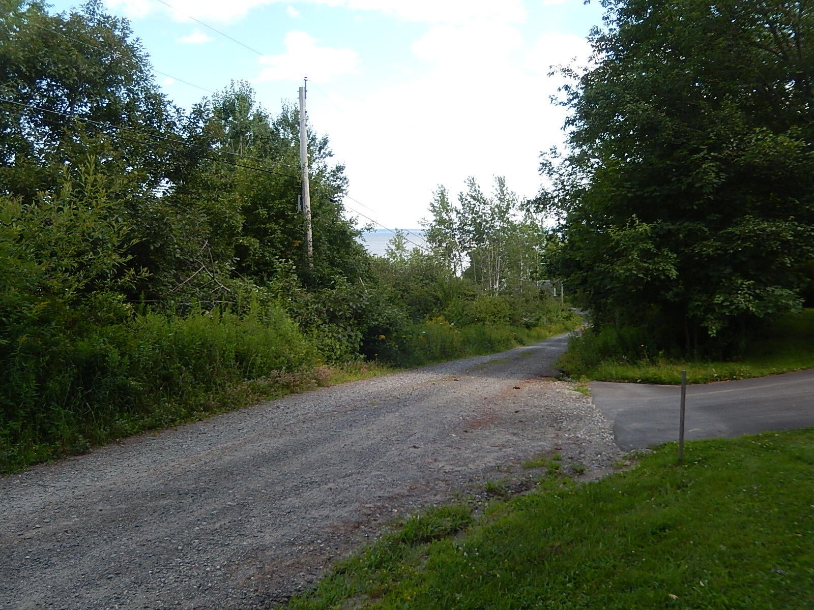 3 Porter Road