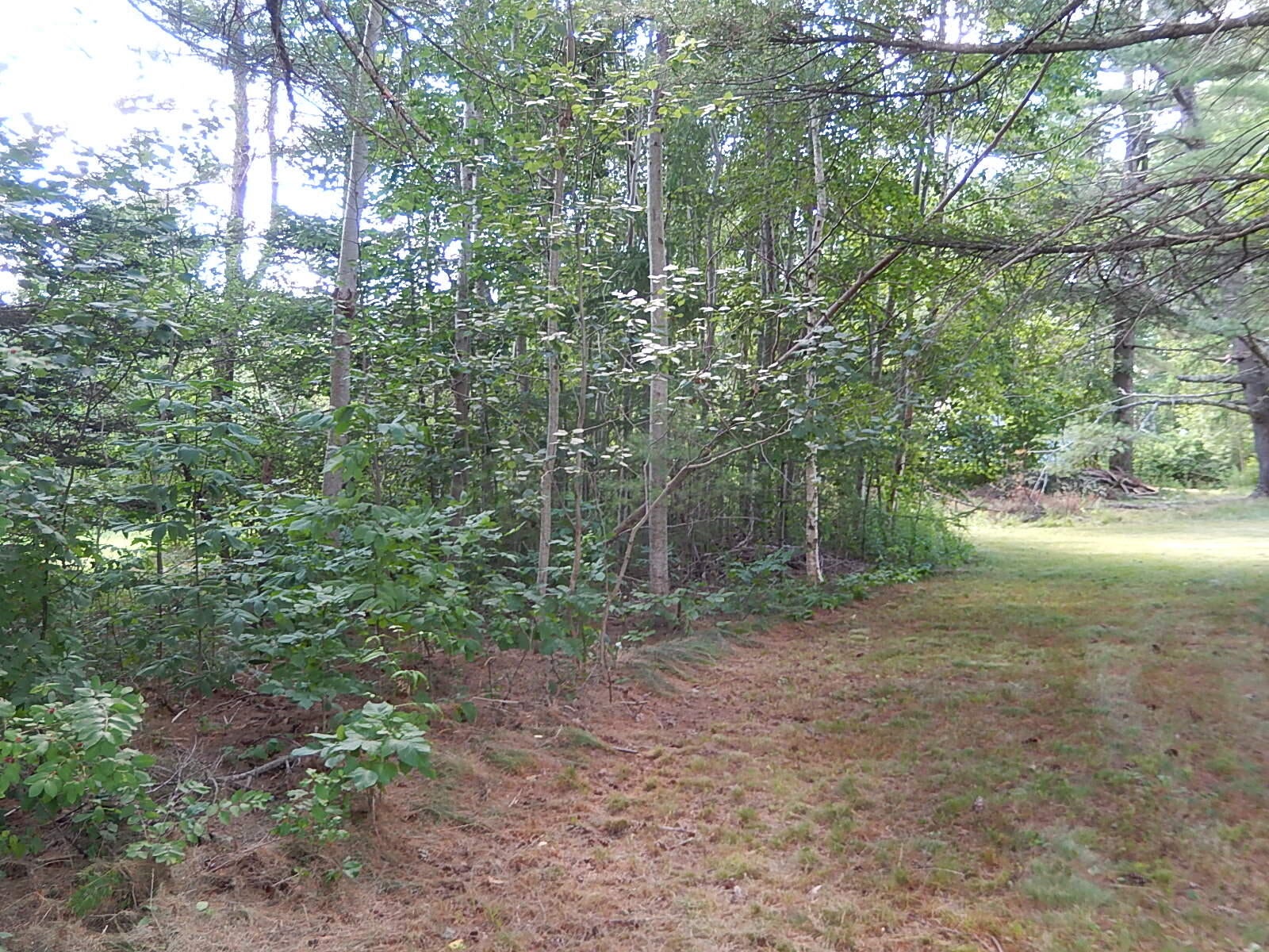 3 Porter Road