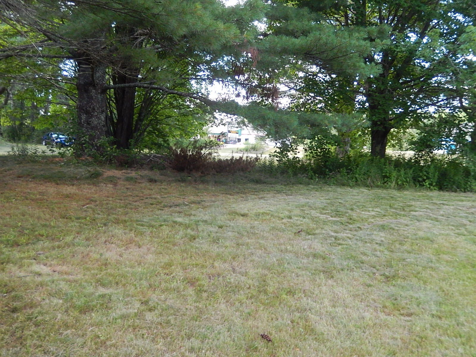 3 Porter Road