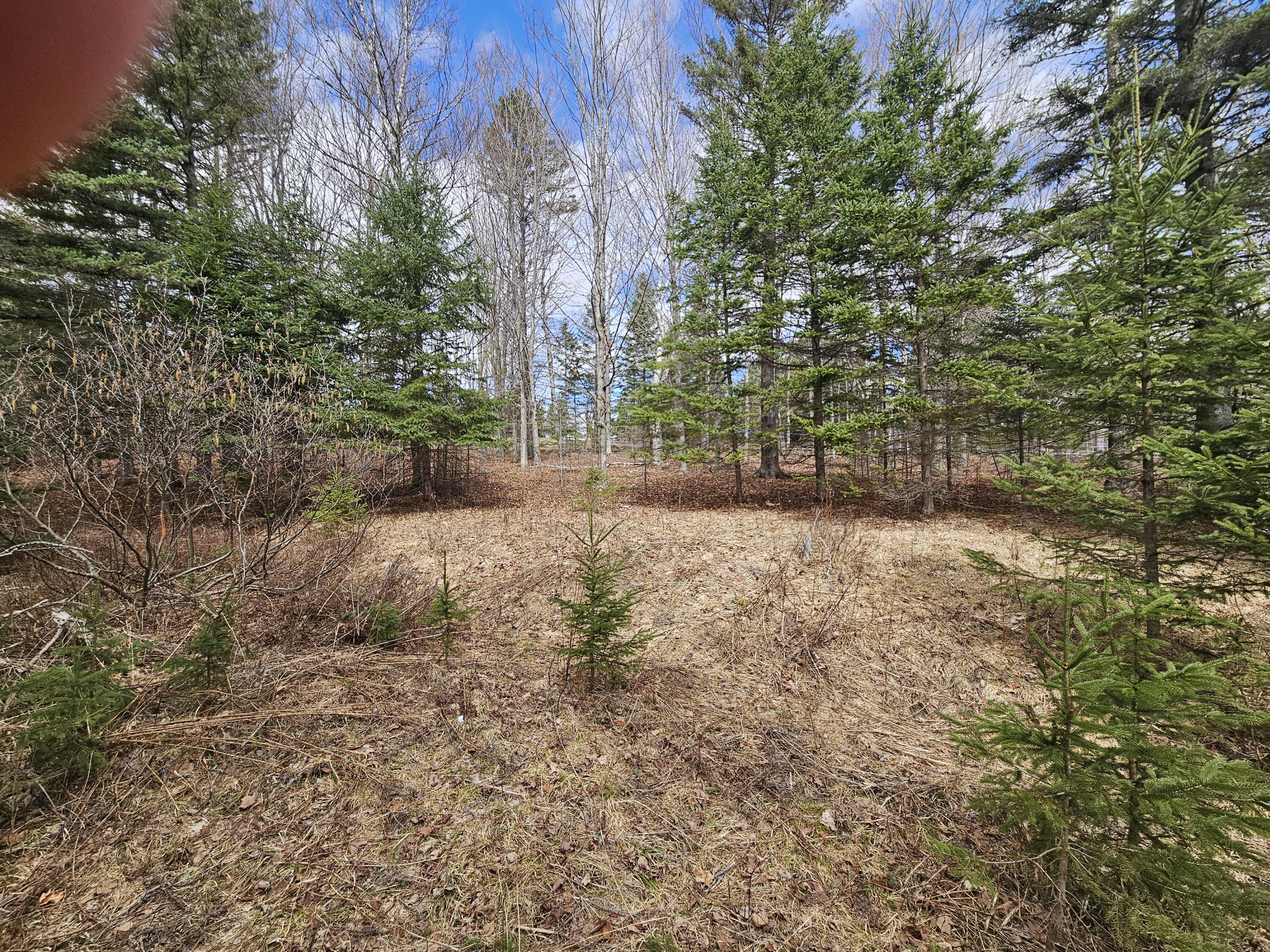 Lot 9 Amber Road
