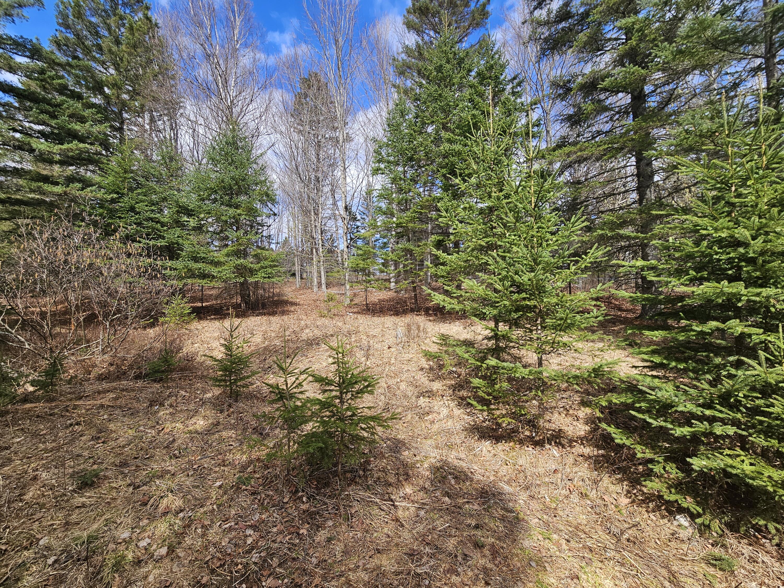 Lot 9 Amber Road