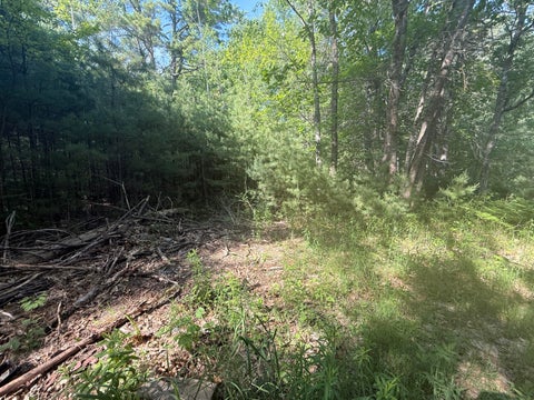 Photo of 010-028 Green Street, Enfield, ME 04493 (MLS # 1667035)
