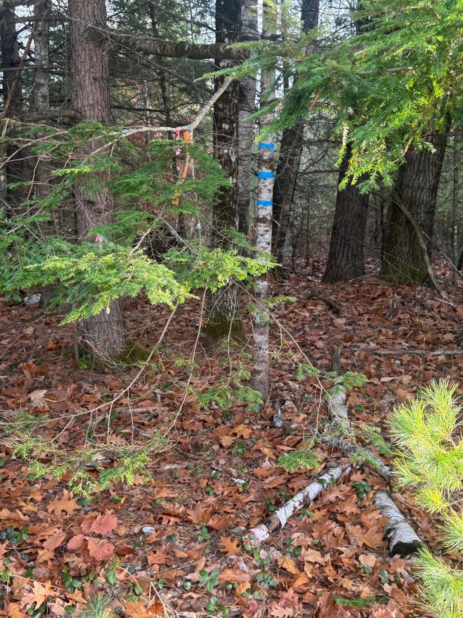 Lot 1-B 1 Sebago Road