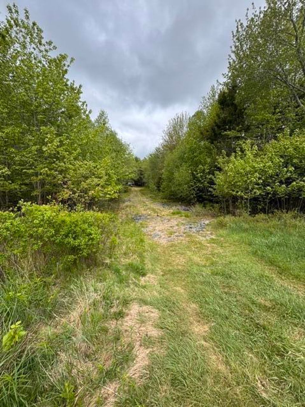 Photo of 274 W Bay Road, Gouldsboro, ME 04607 (MLS # 1664904)