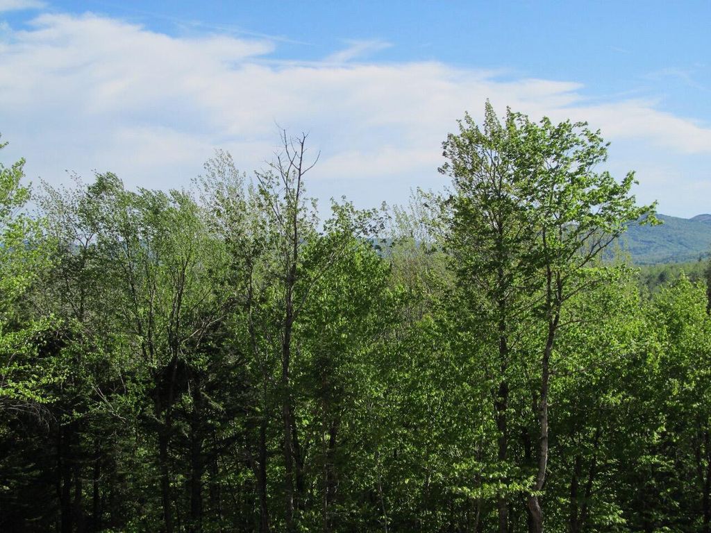 Photo of 045 W Side Road, Carthage, ME 04224 (MLS # 1663508)
