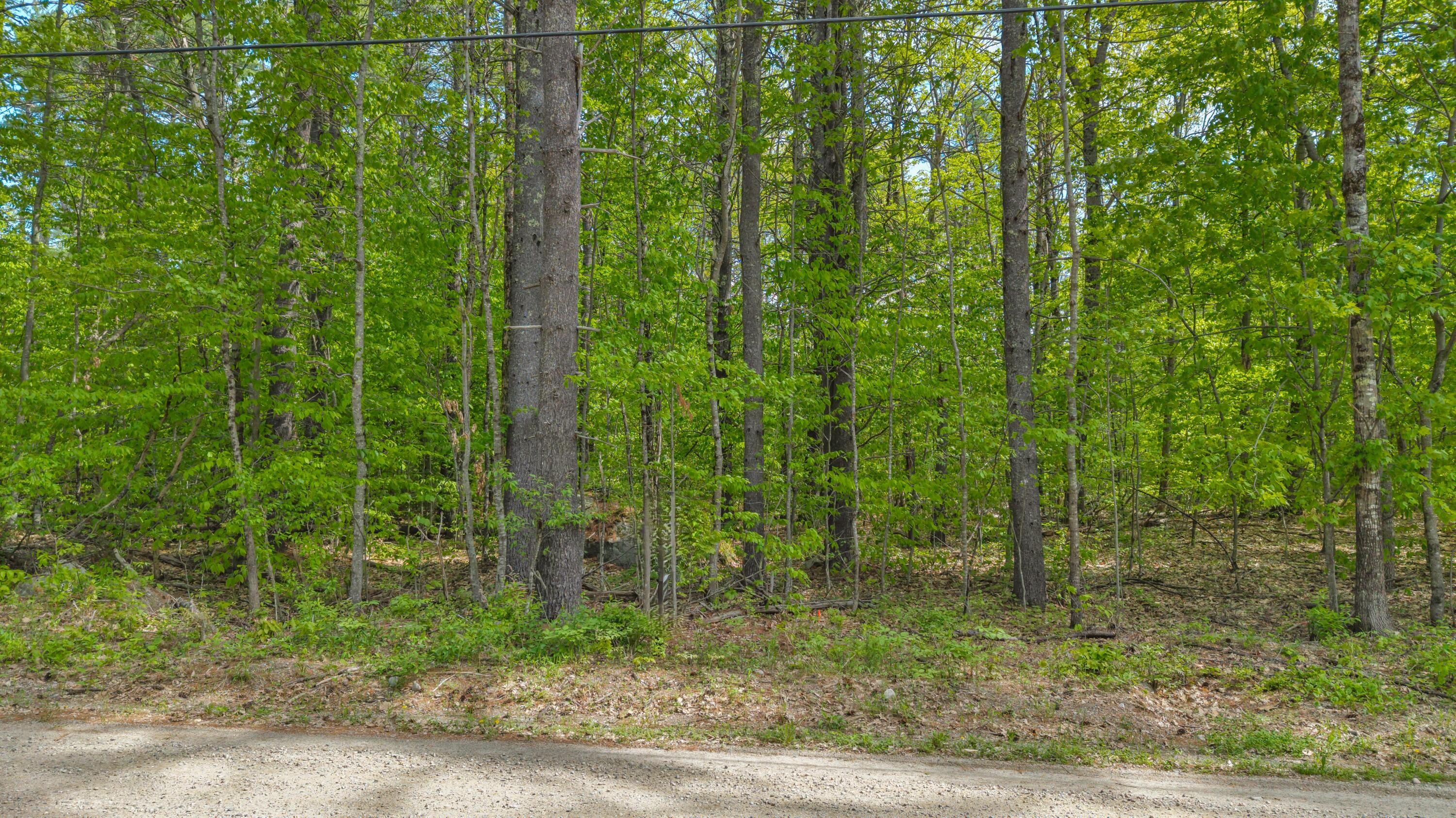 Lot 65 Leisure Lane