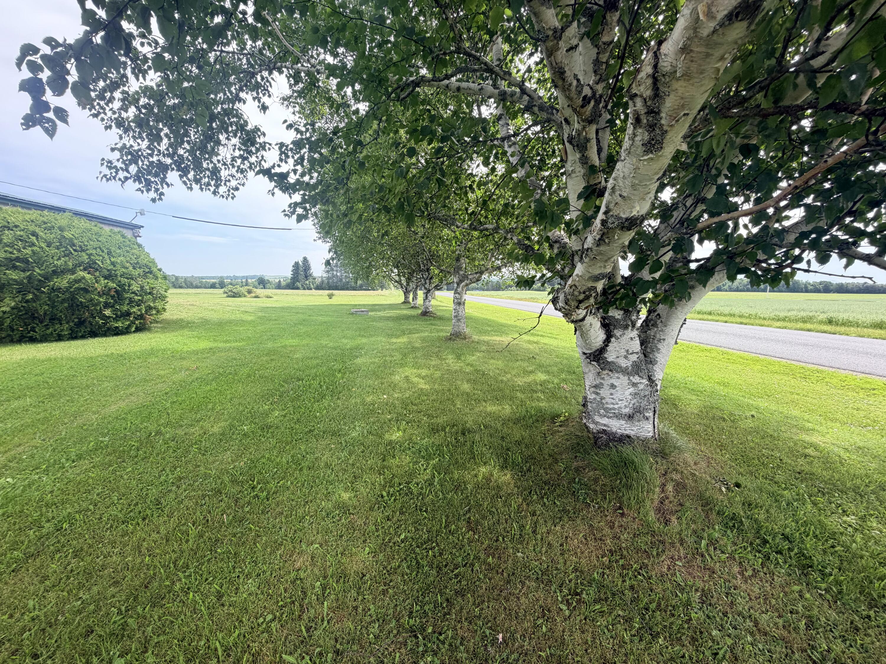 176 Caribou Lake Road
