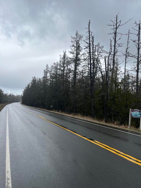 Photo of M3L2,5 US Route 1 Highway, Danforth, ME 04424 (MLS # 1661451)