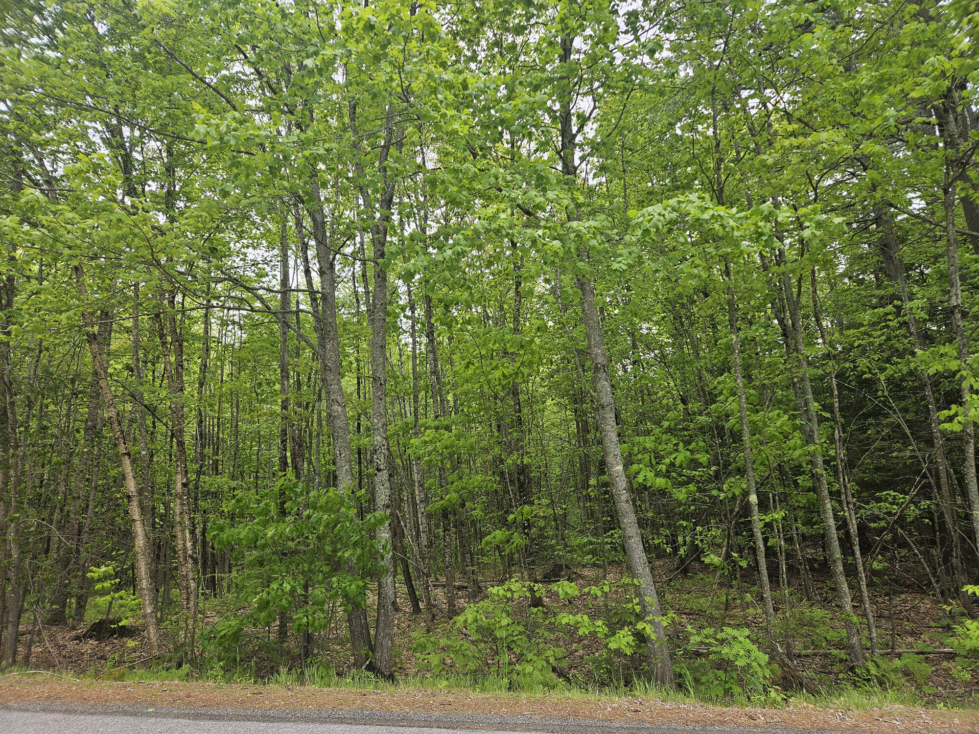 0 Capen Road