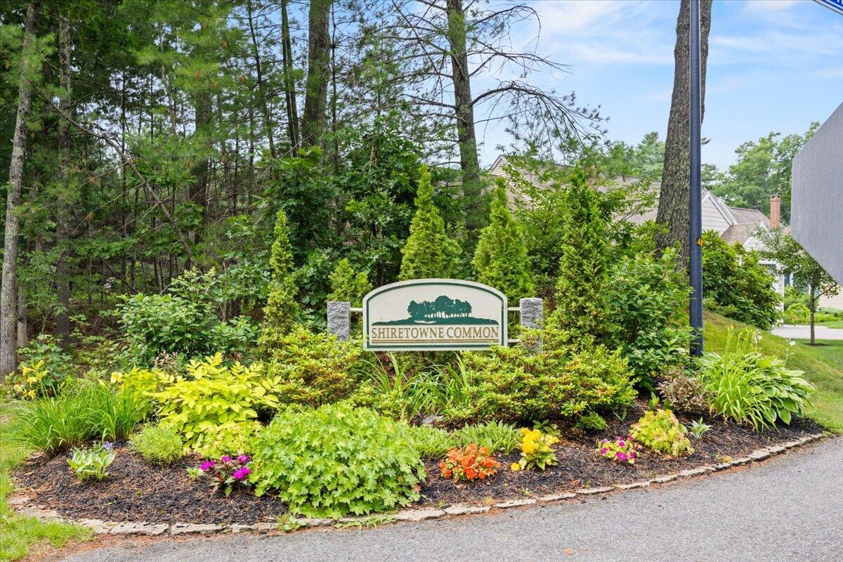 10 Shiretowne Common Drive 10