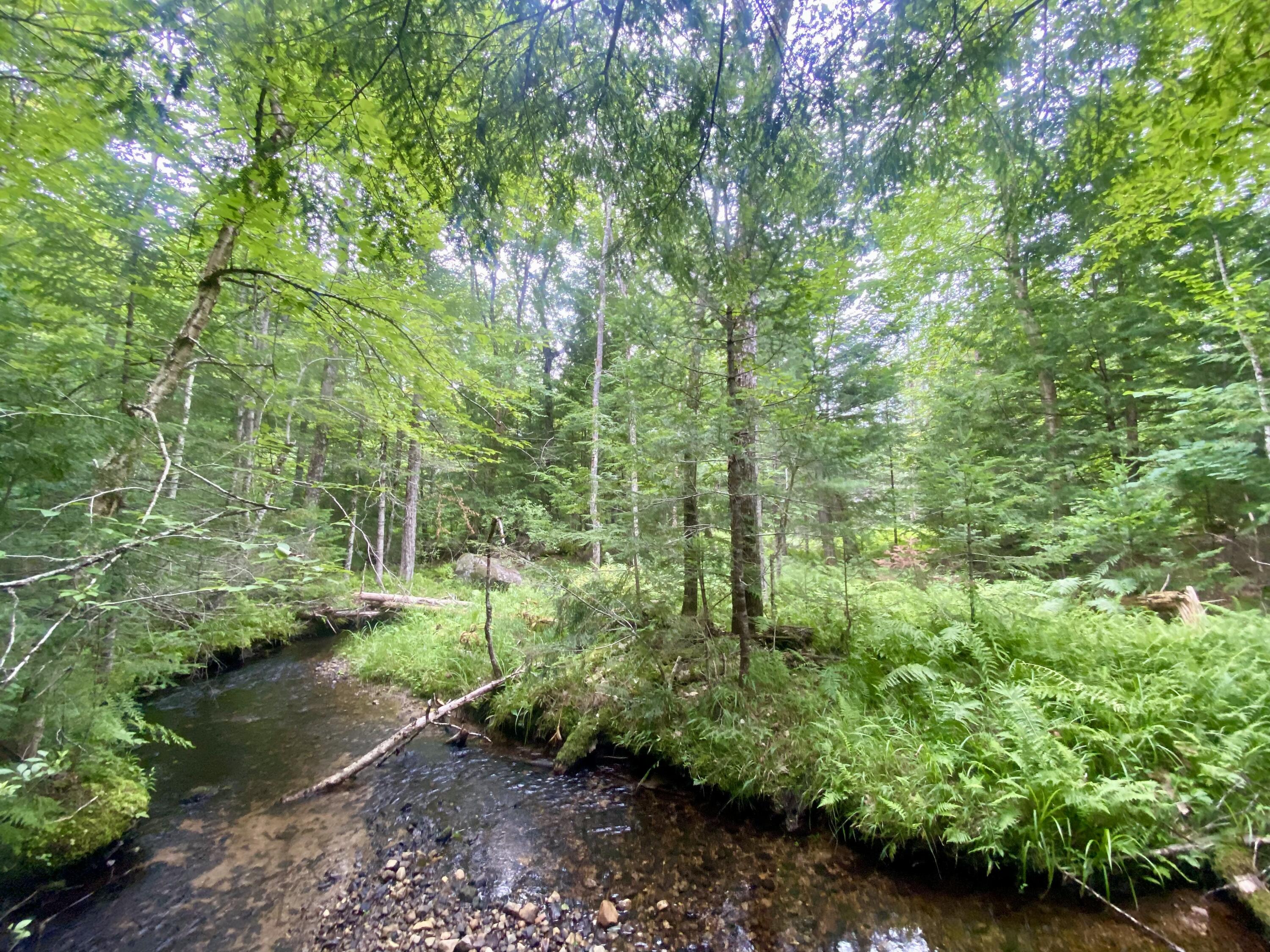 36AC Tucker Road