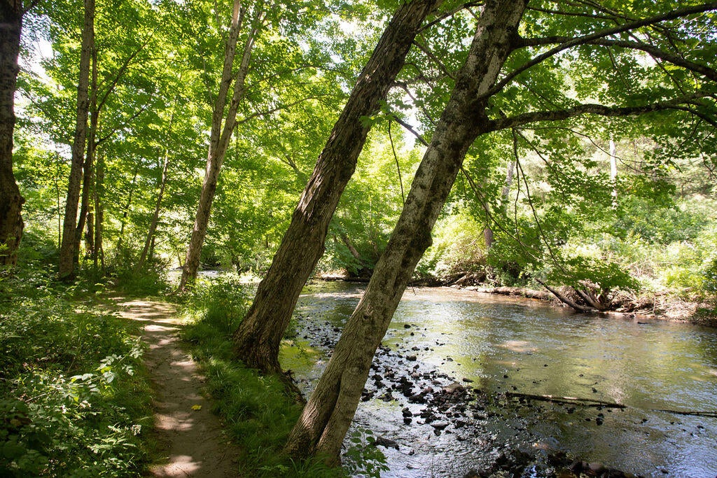 TBD Morrills Mill Road Lot 8