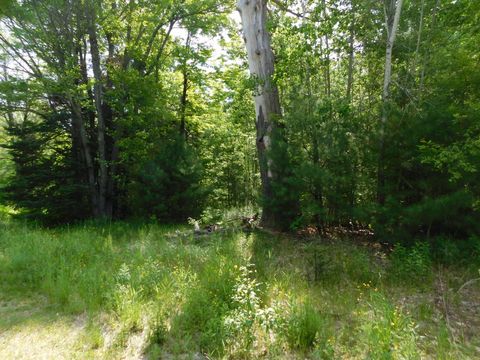 Photo of 244 Canaan Road, Hartland, ME 04943 (MLS # 1666954)