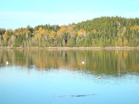 Photo of M26, L5 Deep Cove Lane, Islesboro, ME 04848 (MLS # 1669240)