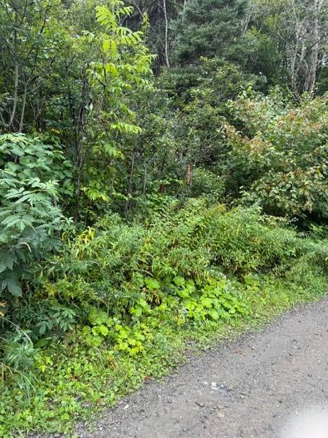 M 29 L 27 Gagnon Road