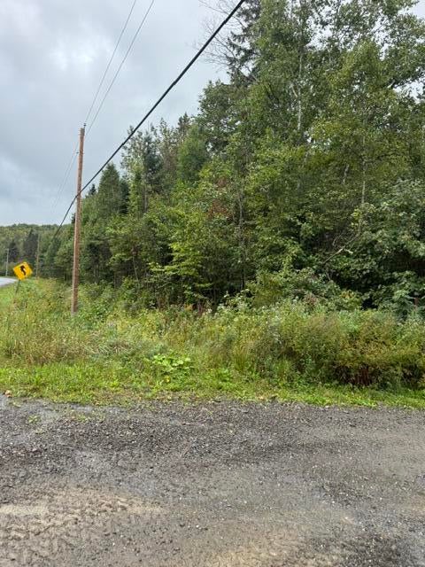 M 29 L 27 Gagnon Road