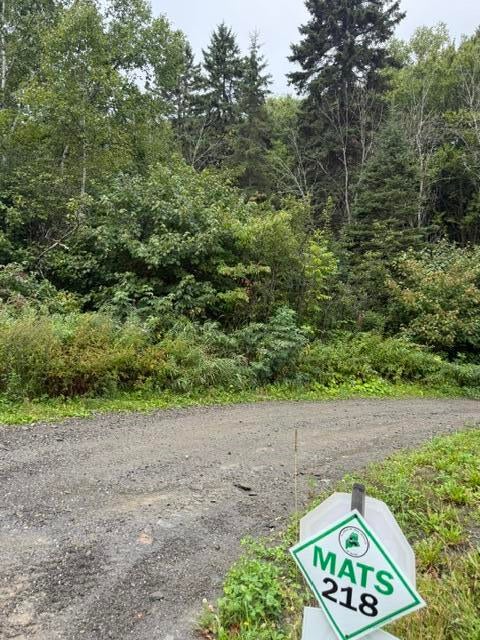 M 29 L 27 Gagnon Road