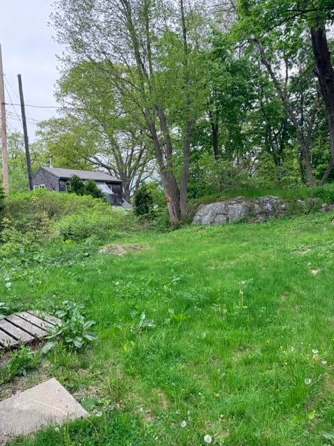 113 Dummer Street