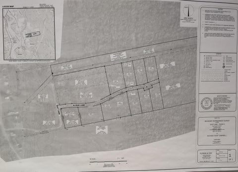 Photo of 0 Allison Lane, Bradley, ME 04411 (MLS # 1667746)