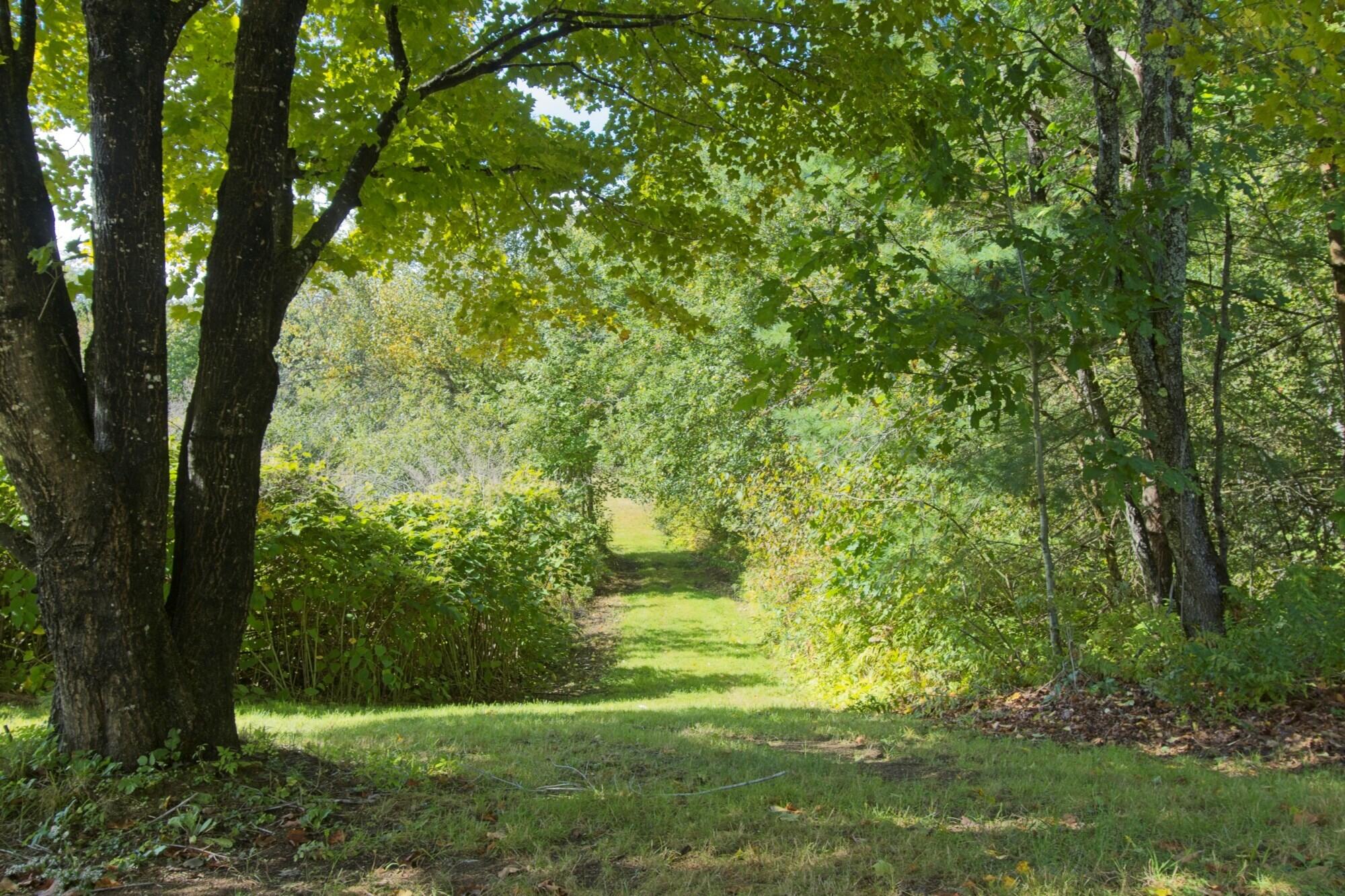 M67,Lot03A Bisbee Town Road