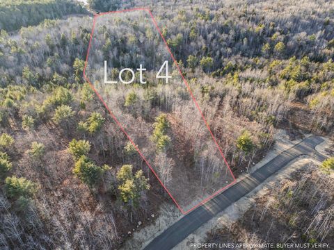 Photo of Lot #4 Pine Hill Road, Palermo, ME 04354 (MLS # 1670078)