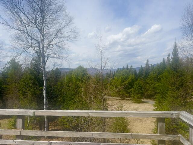 41 Stone Hedge Lane