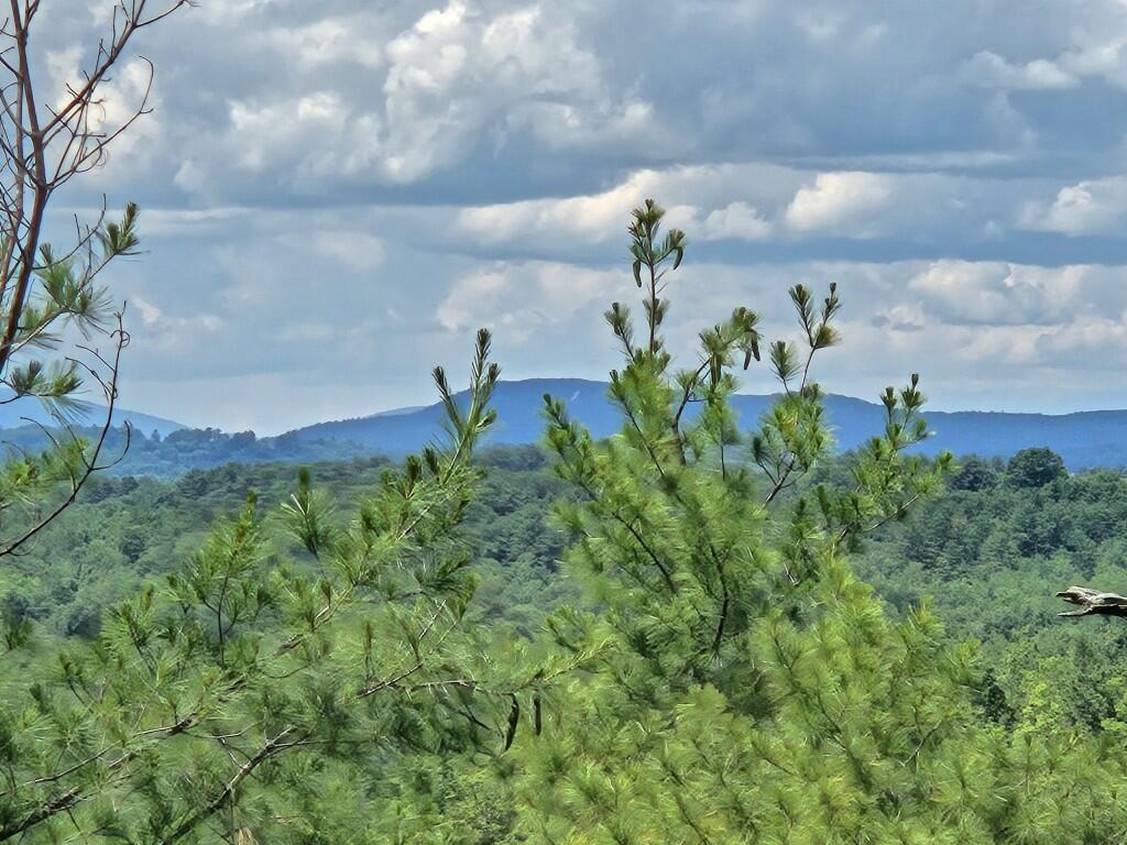 Multiple Quaker Ridge Road