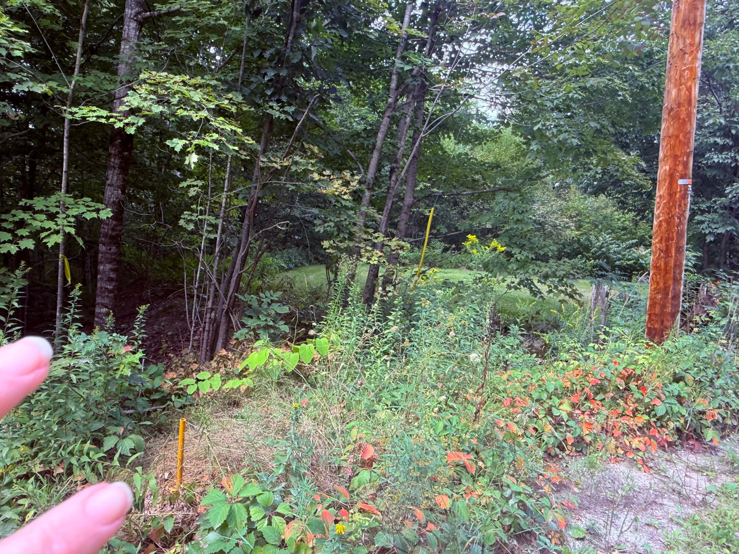 TBD Sawyer Mountain Road